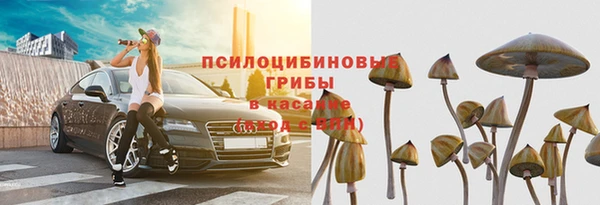 таблы Алексин