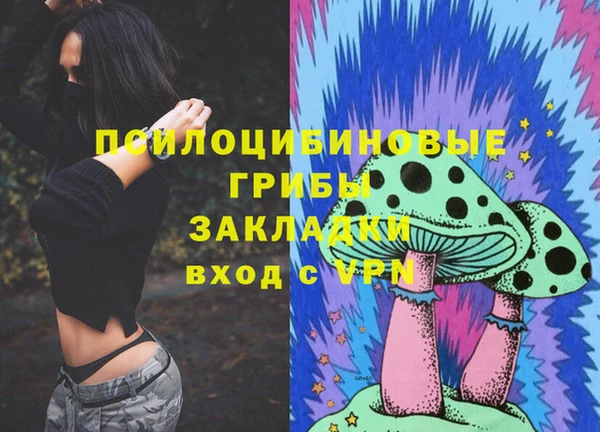 2c-b Алзамай